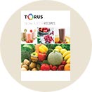 Torus Slow Juicer Recipes